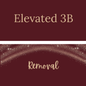 Elevated 3B Removal