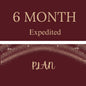 Six Month Plan